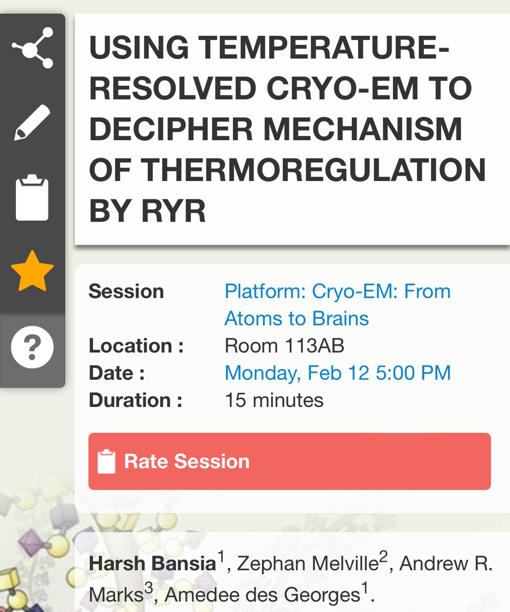 Harsh Bansia will discuss temperature as an important variable in RyR #CryoEM experiments at #BPS2024 today at 5PM! 
Platform: Cryo-EM: From Atoms to Brains
Looking forward to it!
