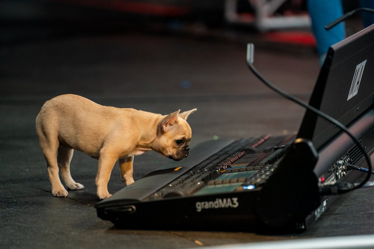 Have you ever wondered who is behind the camera during #PuppyBowl? 🎥📋🏈

Check out some of the top moments from yesterday’s game here: PuppyBowl.com/Gameday

Share what your favorite moment was in the replies 👇