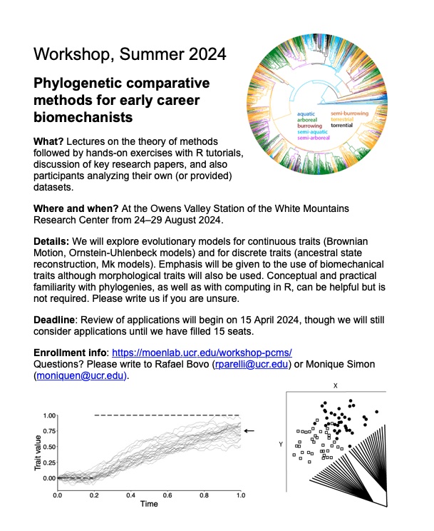 Rafael P Bovo (@bovo_rp) on Twitter photo Do u study biomechanics, locomotion or functional performance & wanna learn more about phylogenetic comparative methods? The MoenLab at UCR will hold a workshop for PhD students/postdocs from 24–29 Aug. Full details at tinyurl.com/yc3zuck5
<a href="/sicb_dpcb/">SICB Phylogenetics and Comparative Biology</a>
<a href="/SICB_SPDAC/">SICB Student-Postdoc</a>
<a href="/SICB_DCB_DVM/">SICB DCB-DVM</a> Do u study biomechanics, locomotion or functional performance & wanna learn more about phylogenetic comparative methods? The MoenLab at UCR will hold a workshop for PhD students/postdocs from 24–29 Aug. Full details at tinyurl.com/yc3zuck5
<a href="/sicb_dpcb/">SICB Phylogenetics and Comparative Biology</a>
<a href="/SICB_SPDAC/">SICB Student-Postdoc</a>
<a href="/SICB_DCB_DVM/">SICB DCB-DVM</a>