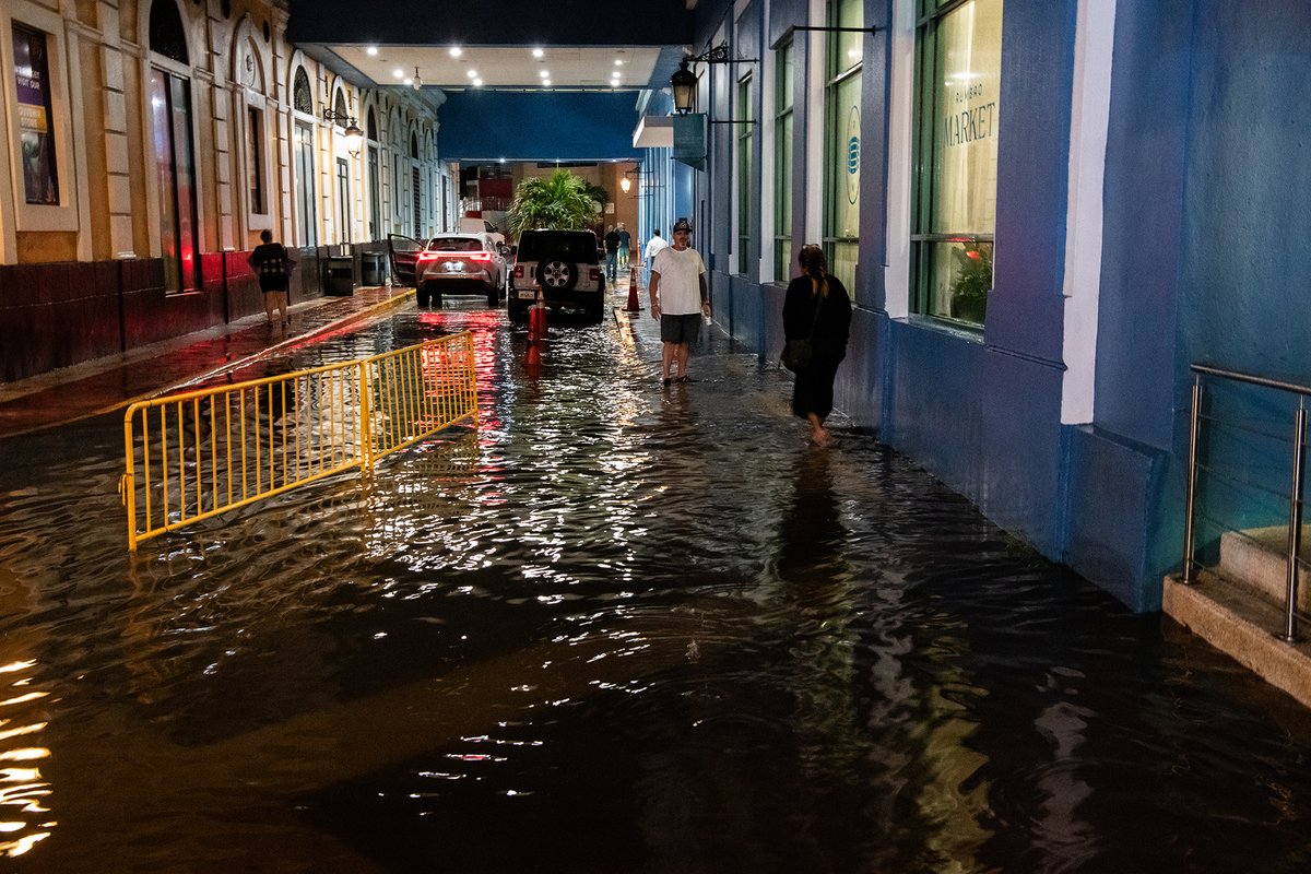 andreastarr tweet media