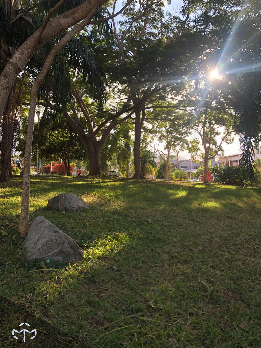 🌳 El Parque 🌴

#peaceonearth #peacefulliving #zengarden #MexicoLindo #lifestyle