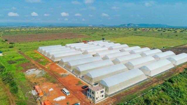 ModernAgri_Tips's tweet photo. If you can resign from office Job and start farming, like and repost. https://t.co/FxXrNgfjRK