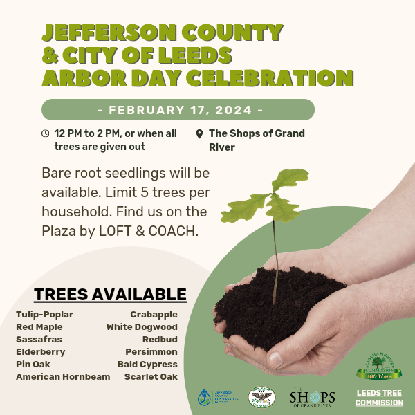 EveryoneLeeds's tweet photo. Tree Giveaway - Saturday, February 17! Jefferson County &amp; City of Leeds Arbor Day Celebration
February 17 | 12-2p or when all trees are given out at The Shops of Grand River. Bare root seedlings will be available. Limit 5 trees per household. Find us on the Plaza by LOFT &amp; COACH. https://t.co/fN0aaoPYFT