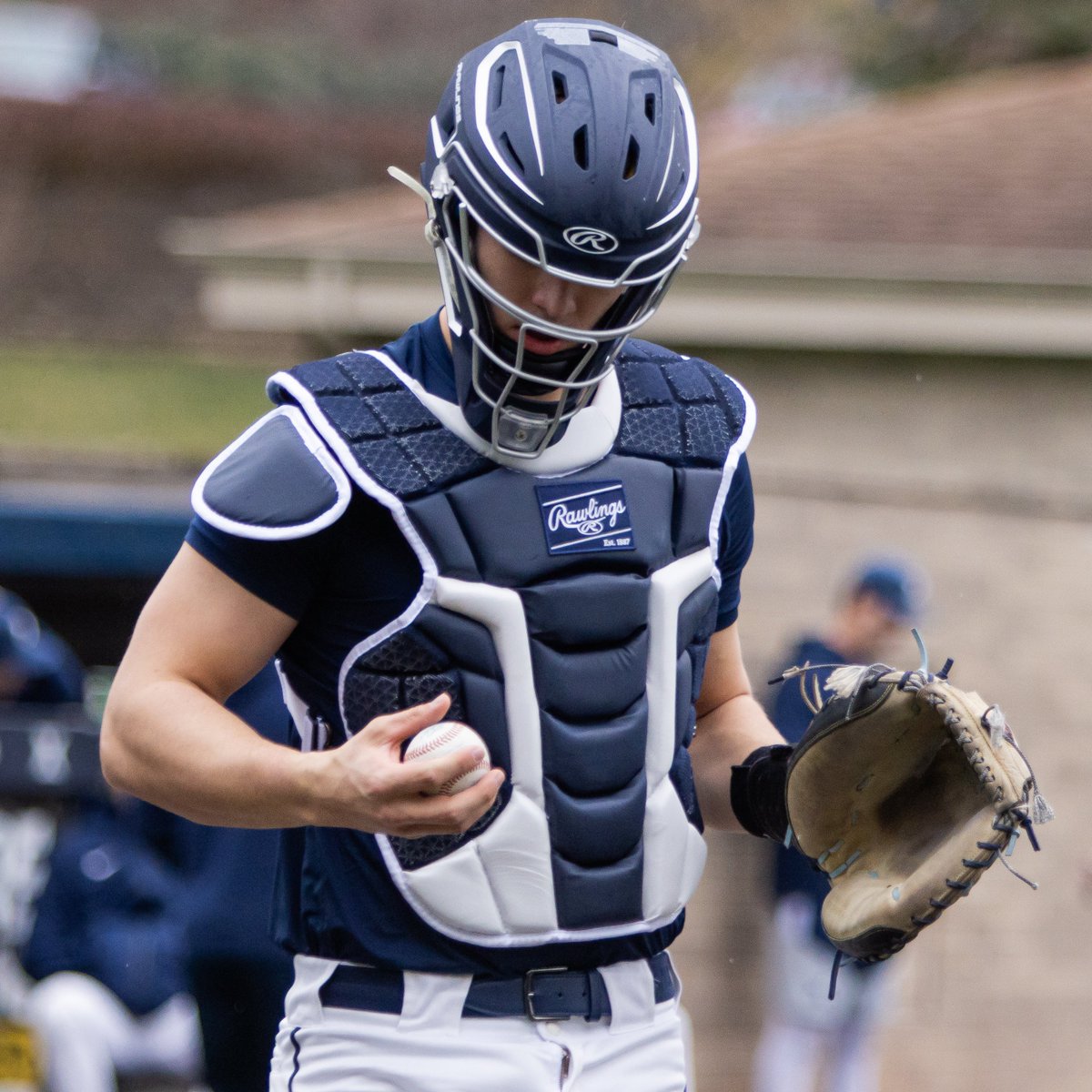 Xavier Baseball tweet media