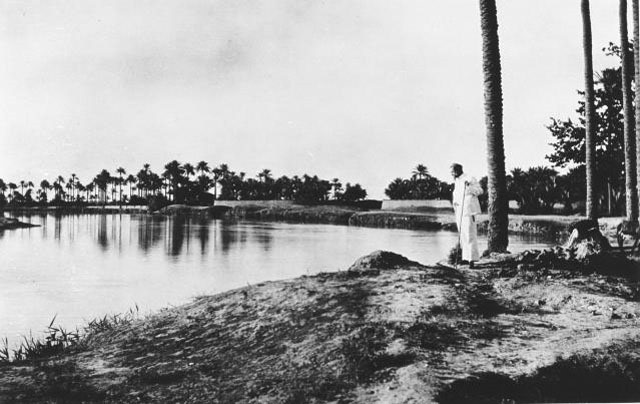 Ammar Altaee tweet media