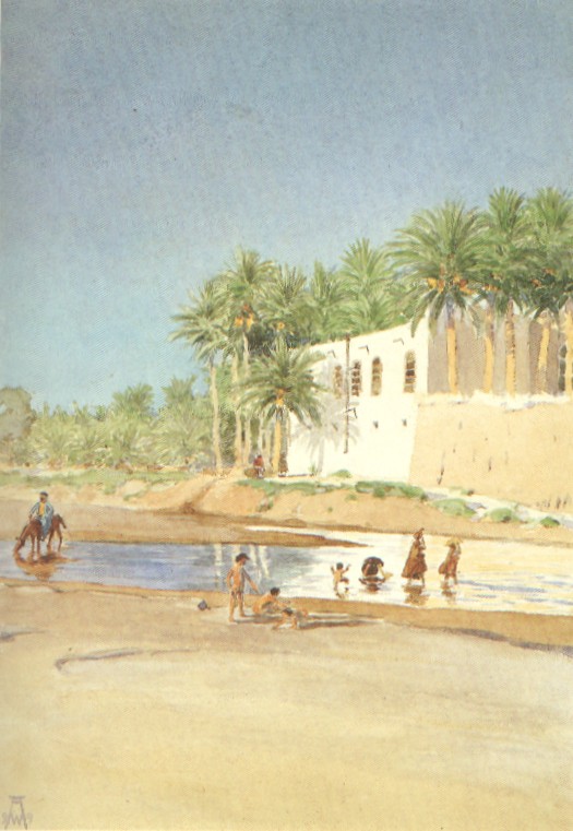 Ammar Altaee tweet media