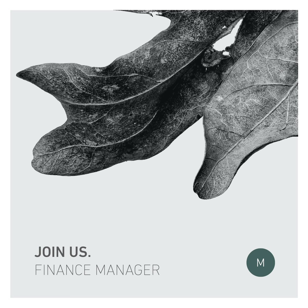 We're #hiring a new Finance Manager in New York. Send your resume and cover letter to hello@maderasurfaces.com today or share this post with your network.