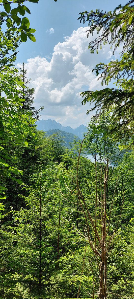 izzyhandscoping's tweet image. I'm asking those who love the outdoors to post a picture YOU took. Just a pic. No description. The goal is to regain peace and harmony without negativity. Please copy the text, post the pic, and let's look at these beautiful pictures.