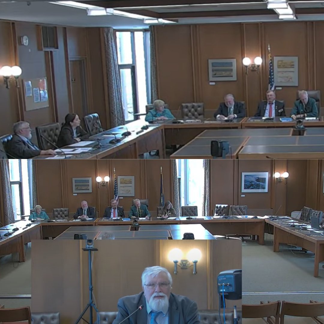 Today I introduced SB 317-FN, relative to establishing a NH-Ireland trade council on behalf of prime sponsor @SenJeb Bradley. I then had the chance to sub on House State-Fed Relations & Veterans Affair Committee and vote. I don't think I've done double duty like that in a while!