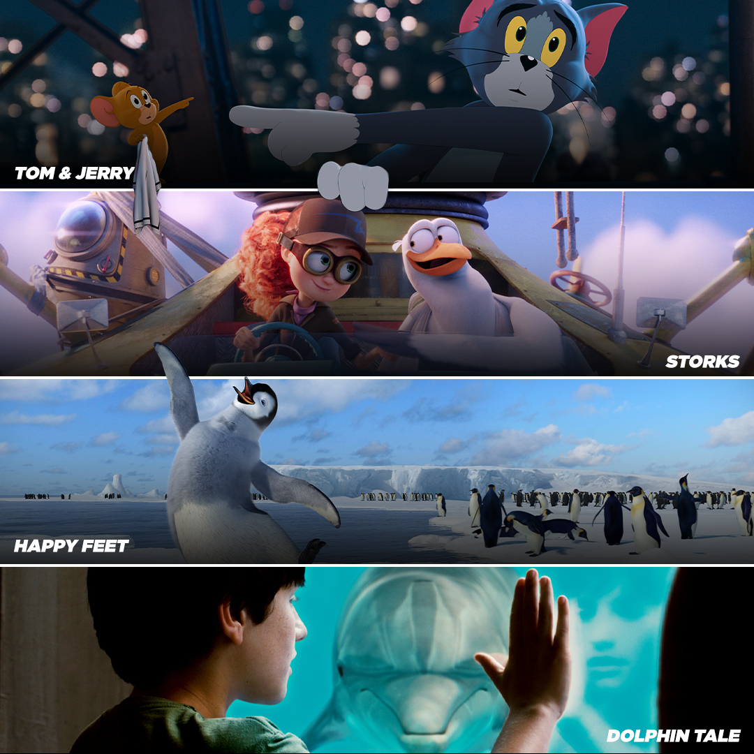 WarnerBrosUK's tweet photo. This half-term, the animal kingdom is calling 📞 Join the adventure with these family friendly classics!
#TomAndJerry #Storks #HappyFeet #DolphinTale https://t.co/0KB3mk2gF6