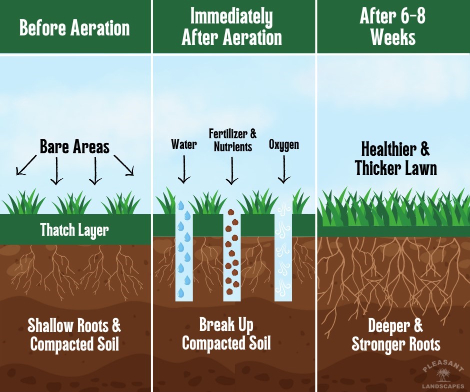 PleasantScapes's tweet photo. It's time for core aeration, the trick to a much healthier lawn! Are you going to aerate your lawn this year? ☀️

#coreaeration #greenlawn #lawncare #lowcountrysc https://t.co/ZHjERCJcOO