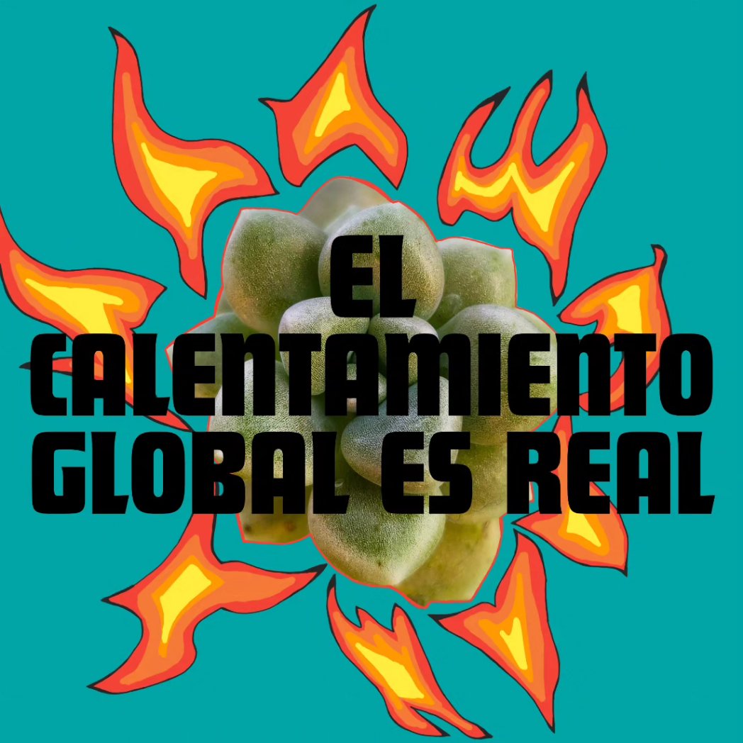 __fluor's tweet photo. 🍀🌍🌎🌏🔥

Las temperaturas medias han aumentado aproximadamrnte 1,2°C desde la era preindustrial.
.
.
.
.
.
.
.
.  #flowers #fyp #flower #fluor #art #arte #digitalart #photography  #photooftheday #cambioclimatico #calentamientoglobal🌎🔥 #climatechange #climateaction https://t.co/onAPc91iPj
