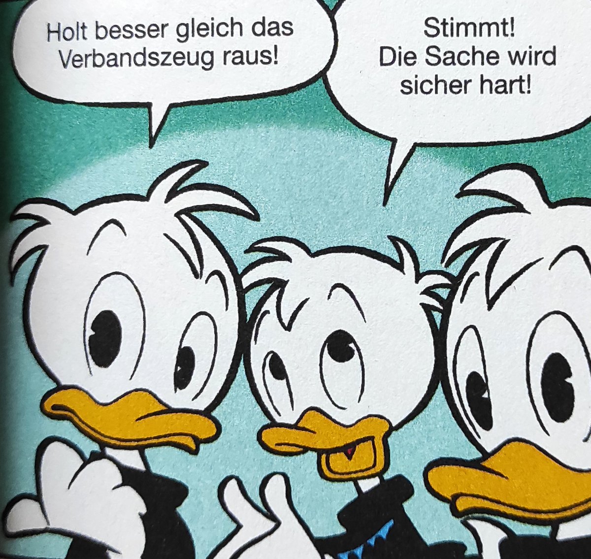 Enti_Ducky's tweet image. Winterschlussverkauf in der Innenstadt. #WSV #LTB