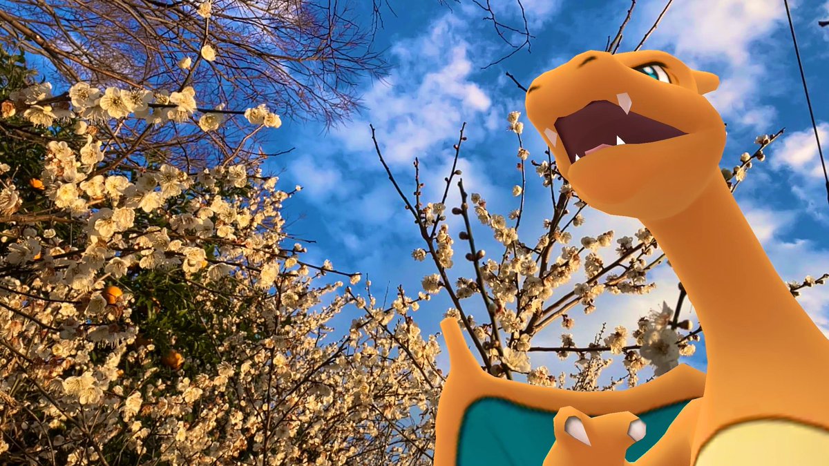 anzupoke5's tweet photo. お散歩😊🎶

#PokemonGO #PokemonGOAR #GOsnapshot #ARofTheDay #TrainerARTuesday #ポケモンGO #リザードン https://t.co/SXKg6rKA0D