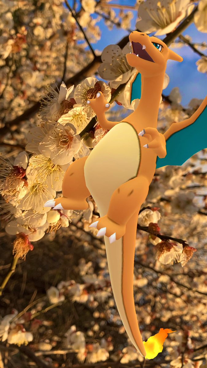 anzupoke5's tweet photo. お散歩😊🎶

#PokemonGO #PokemonGOAR #GOsnapshot #ARofTheDay #TrainerARTuesday #ポケモンGO #リザードン https://t.co/SXKg6rKA0D