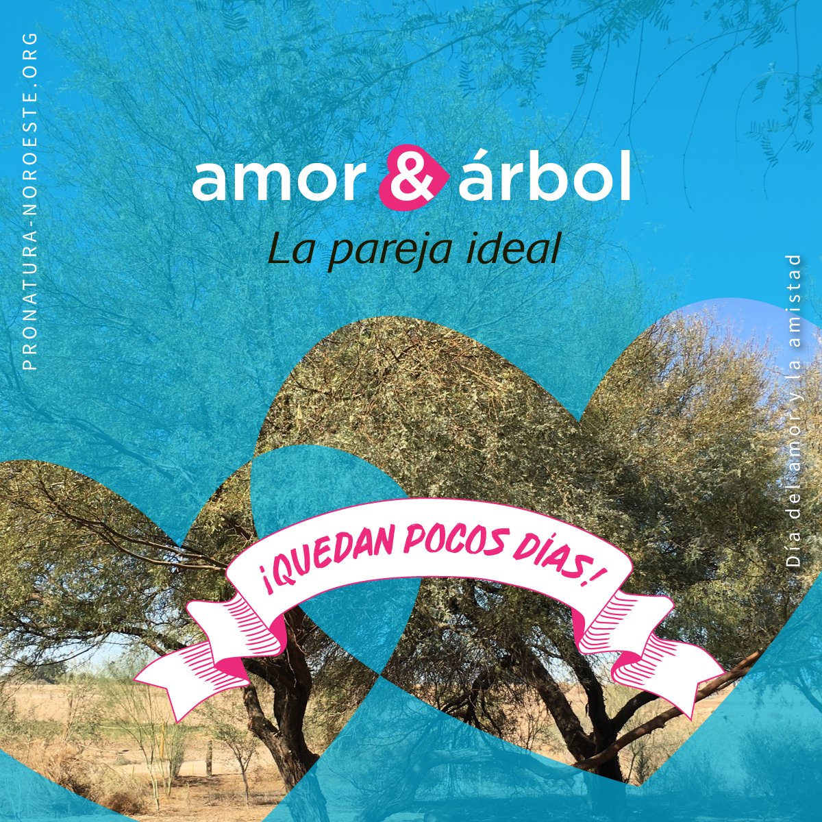 ¡No te quedes sin el mejor regalo de la temporada! Obsequia un árbol nativo, refuerza tu relación con tu ser querido y fomenta el cariño hacia tu comunidad y el Delta del Río Colorado. Ahora ya sabes, ¡regala árboles y muchísimo amor! pronatura-noroeste.org/siembra/