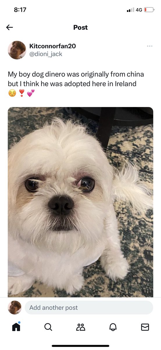 5sosfan's tweet image. 