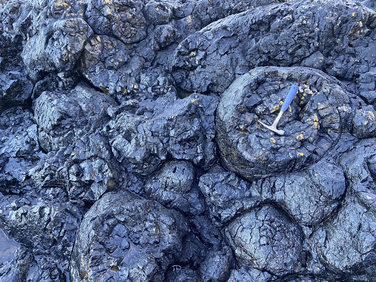 Paul Angel tweet media