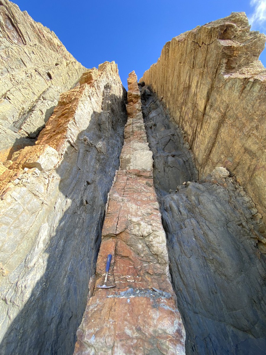 Paul Angel tweet media