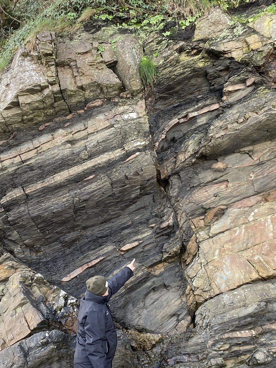 Paul Angel tweet media