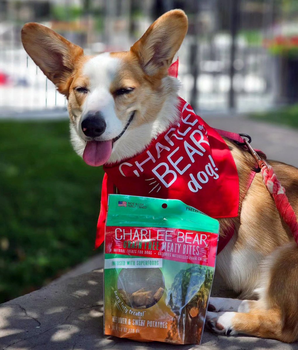 It’s the smile for us! 🥰🐶

RT a ❤️ if this is your pup’s reaction when you pull out the Charlee Bear treats!

📸: @ellie_and_bentley.corgis
#charleebear #dogtreats