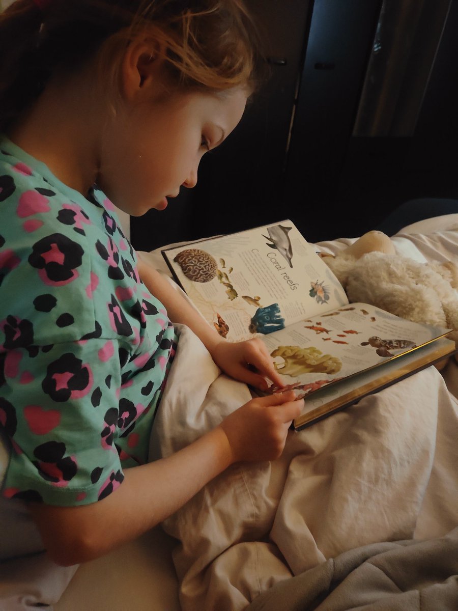 Littlefbysligo's tweet photo. I'm looking forward to half term. More mornings like this when we lounge till late and discuss our favourite sea creatures. #almosthalfterm #edutwitter https://t.co/6EZsR6QGK6
