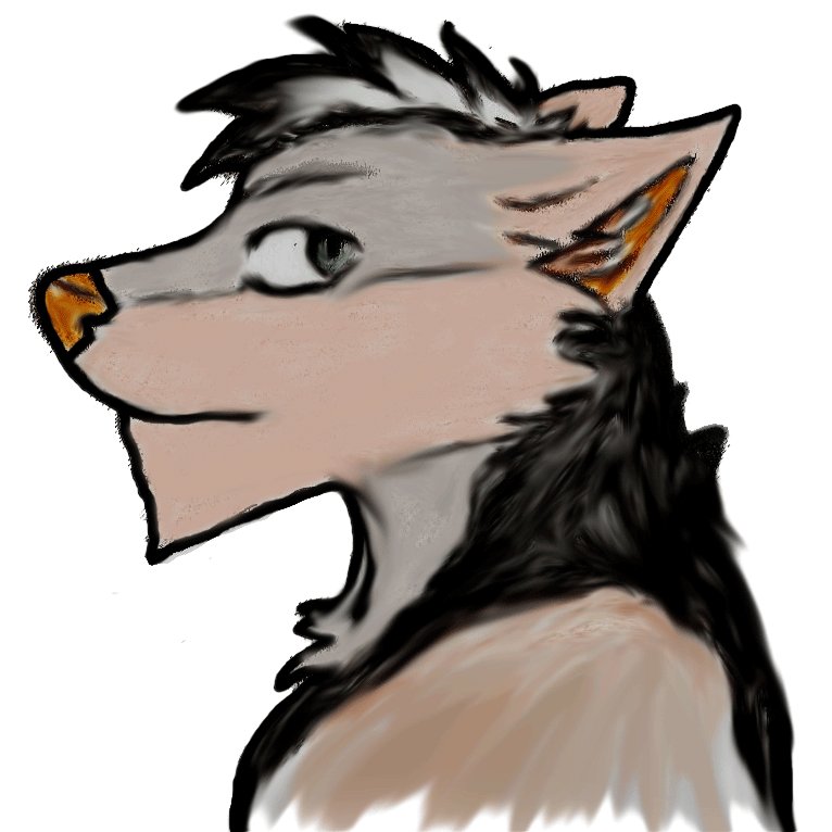 Kintran Valgrige 🐺📖 Wolf Storyteller tweet media