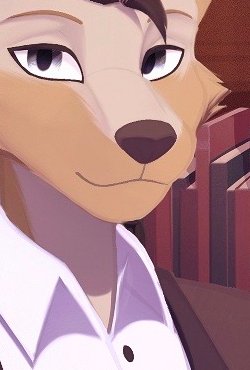 Kintran Valgrige 🐺📖 Wolf Storyteller tweet media