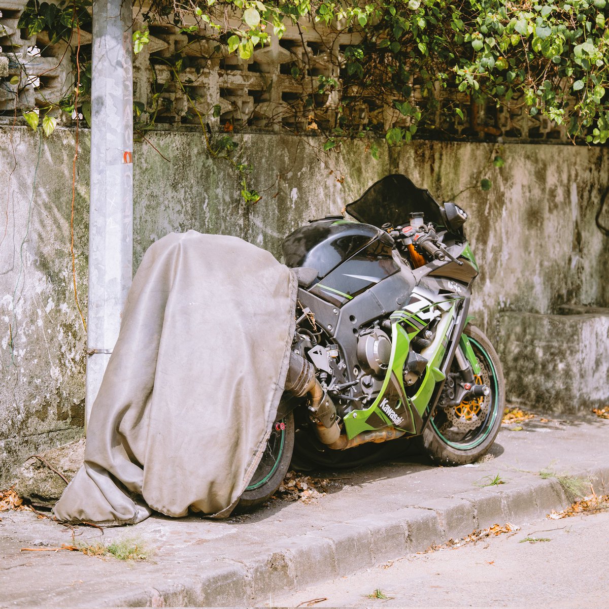 baebae940908's tweet photo. A "Wild" Kawasaki. I want to adopt it，haha https://t.co/D3zZxZ8KlO