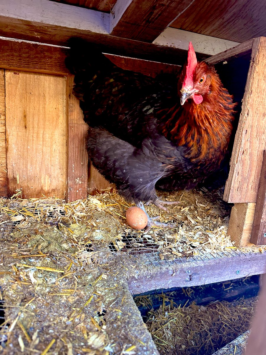 🇨🇦SmokingJen🇨🇦 tweet media