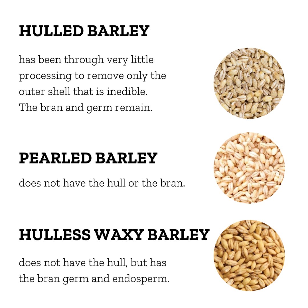 Barley is used for more than just human consumption. Swipe to learn more about the different uses of barley!