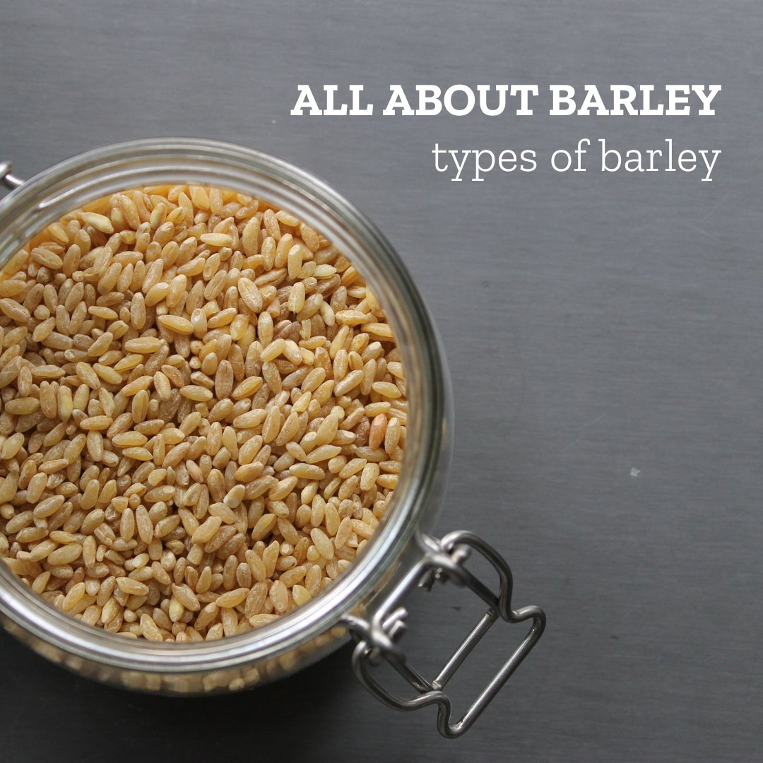 ThinkBarley's tweet photo. Barley is used for more than just human consumption. Swipe to learn more about the different uses of barley! https://t.co/YVG6eNYI0U