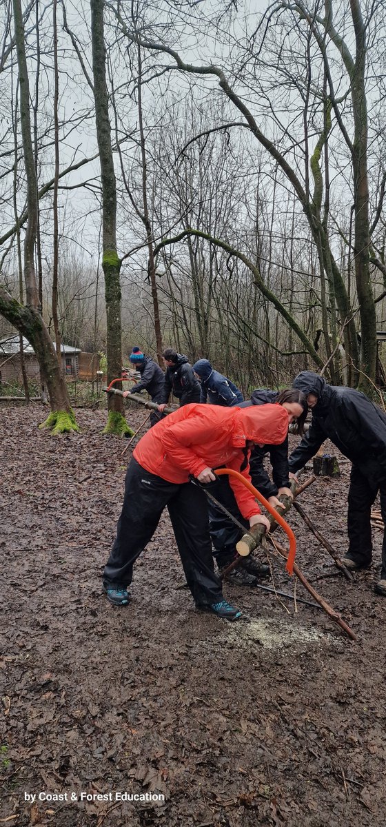 coast_forest's tweet photo. back from a module of level 3 training; discussing theory, portfolios and handbook but balanced with practical skills, cooking, changeable weather and story telling games. Finished with a sunny afternoon and sunset.
#forestschool
#Level3Training
@QNUKAwards 
@FSAForestSchool https://t.co/NdFX32TicF