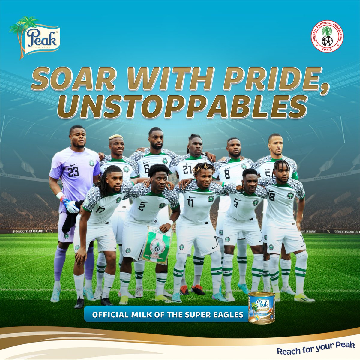 We celebrate the Unstoppable @NGSuperEagles for their incredible performance at the 2023 AFCON. You gave your best and we are proud of you. #PeakMilk #SuperEagles