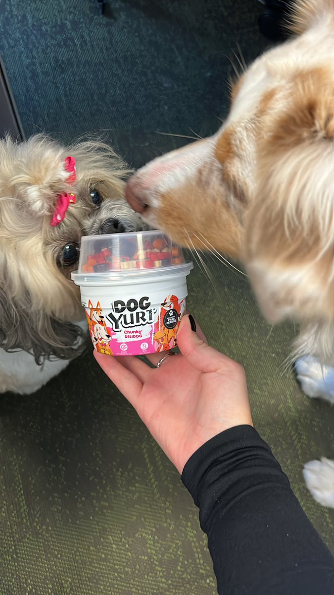 Sara Nieto tweet media