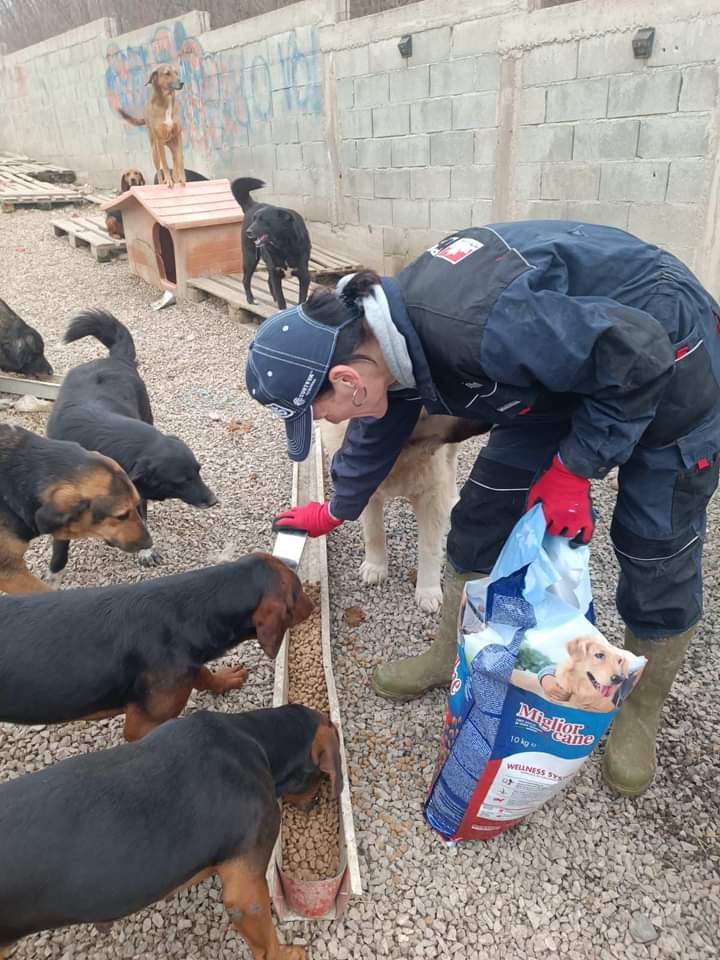 prijedoremergen's tweet photo. Grazie dal profondo del cuore a chi ci ha permesso di arrivare a tutto questo e vincere le pappe di #AnimalAction, perchรฉ ieri tutti i crocchini donati per merito vostro hanno raggiunto il nostro magazzino e sono arrivati dritti nelle panciotte dei nostri angeli ๐ฅนโค๏ธโค๏ธโค๏ธ๐๐ป๐๐ป๐๐ป https://t.co/Z8LqGqH8rz