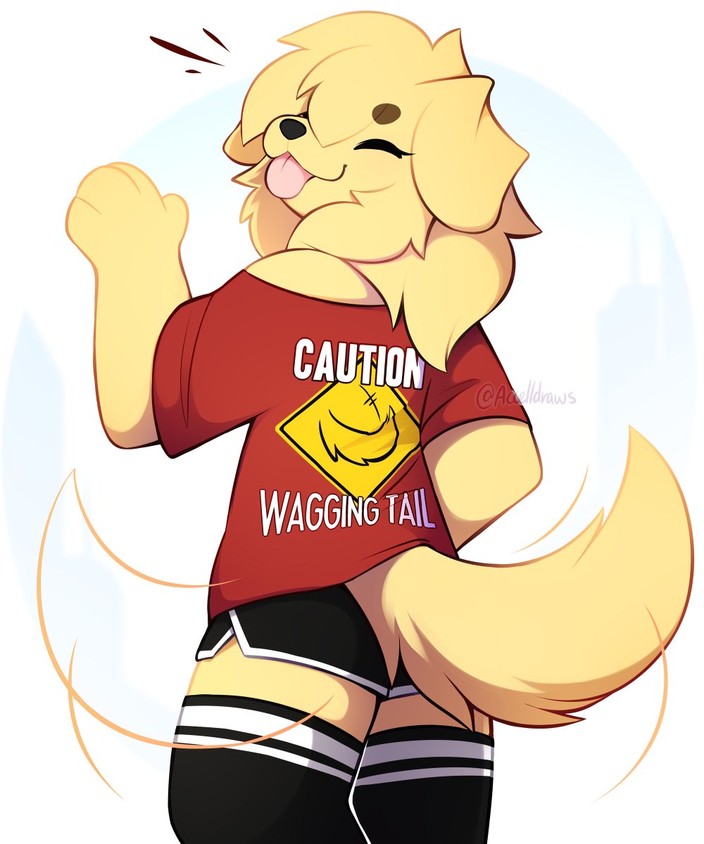 caution: beware of wagging tail!!