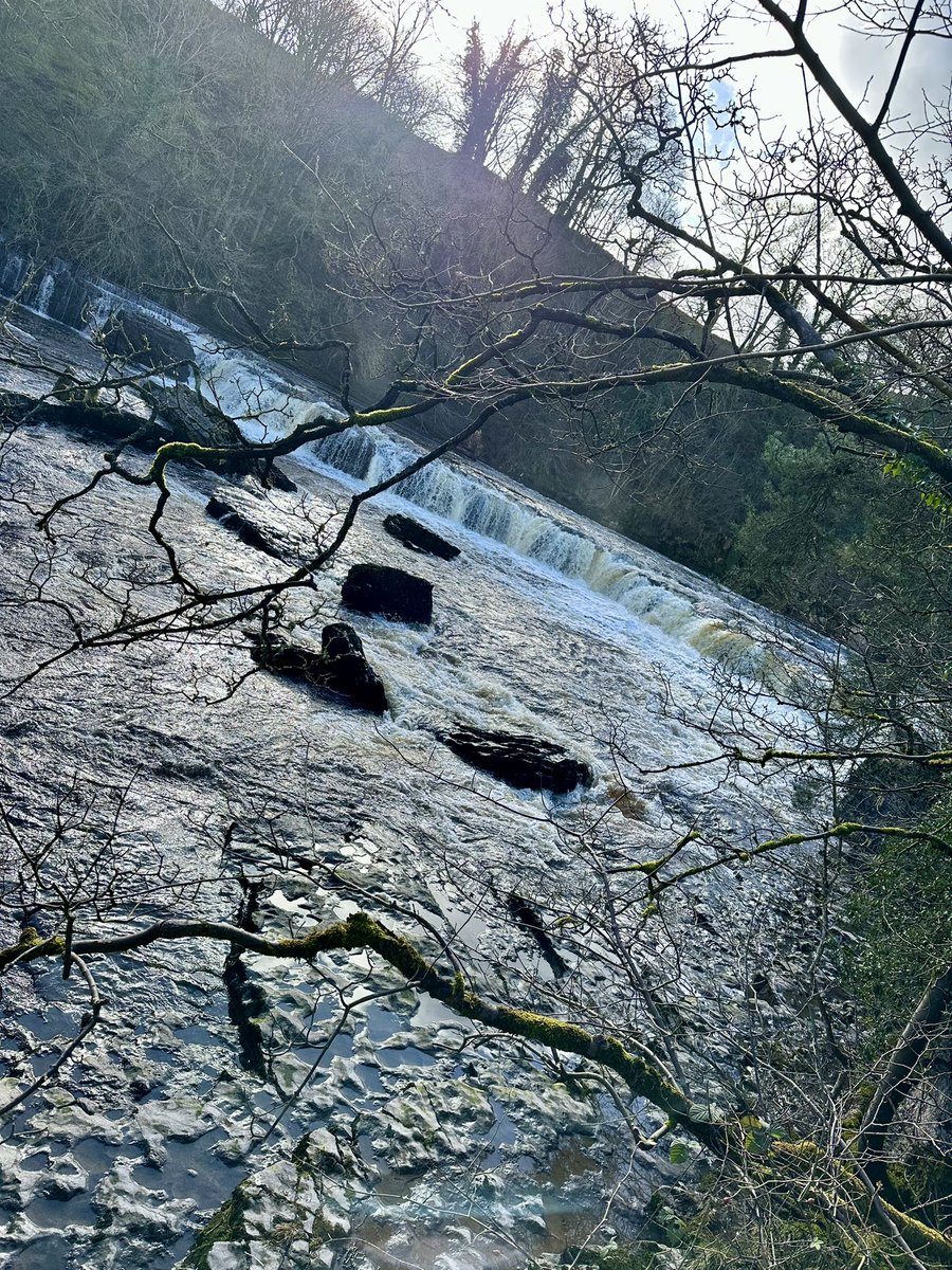 No better place to take the grandchildren today, than Aysgarth Falls in the <a href="/yorkshire_dales/">Yorkshire Dales National Park</a> Fabulous day out - highly recommended 👍