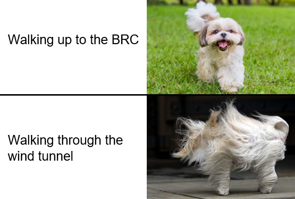 Marina Yu (@marinahyu) on Twitter photo 