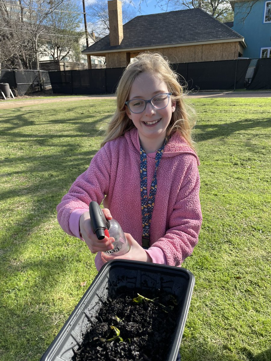 MsHamannRTGG's tweet photo. 5th grade at @WilchesterSBISD loved the decomposers today! They sprayed water between classes to keep them moist. ๐ชฑ ๐ชฑ ๐ชฑ
@readygrowgarden @LizGoodman1 @SBISD
#wormcastings #decomposers https://t.co/4hczySv5Io