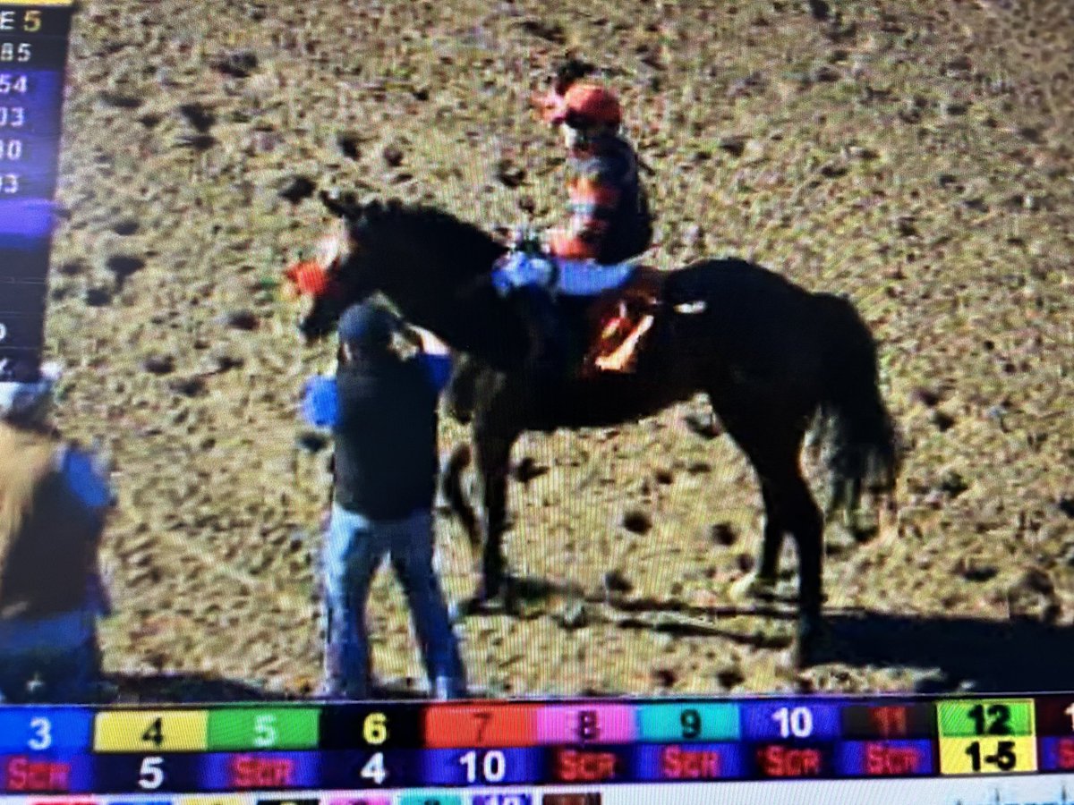 Welcome back to the winner’s circle my love @A_Suarez_jockey Beautiful ride !