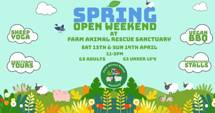 fars_sanctuary's tweet photo. 🎉 SAVE THE DATE! 🎉
We now have dates in the diary for the first of our 2024 open weekends. Hoping so much that friends old &amp; new can join us 🙏
🗓 Sat 13 &amp; Sun 14 Apr 2024
🎟 £5 (under 12s £3)
🐑 Sheepie yoga 
🏡 Tours 
🛍 Merch &amp; stalls 
🌱 Vegan BBQ 
🥰 Booking opening soon! https://t.co/EXz6rqaqp3