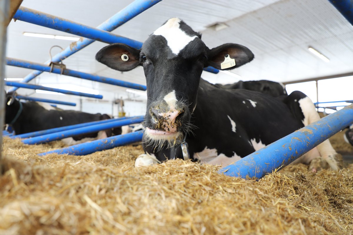 Happy Canadian Agriculture Day!

Bonne journée de l'agriculture canadienne!