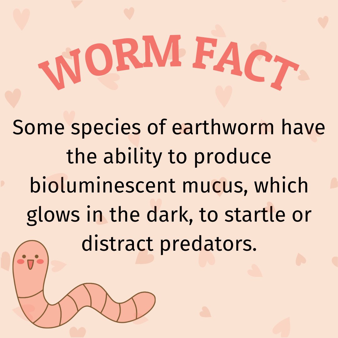 NWF's tweet image. Worming my way into your heart… 💓

Roses are red,
Violets are blue.
Earthworms are slimy,
And secrete glow-in-the-dark goo!

This #ValentinesDay, show some love to the humble #earthworm 🪱

📲 blog.nwf.org/2024/02/would-…

#HappyValentinesDay