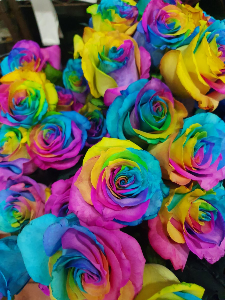 floresramitos's tweet photo. Arcoiris para san valentin, regala rosas. Floristeriaramitos. Encargosxal 619644145-954229749 https://t.co/u6O5zb2b73