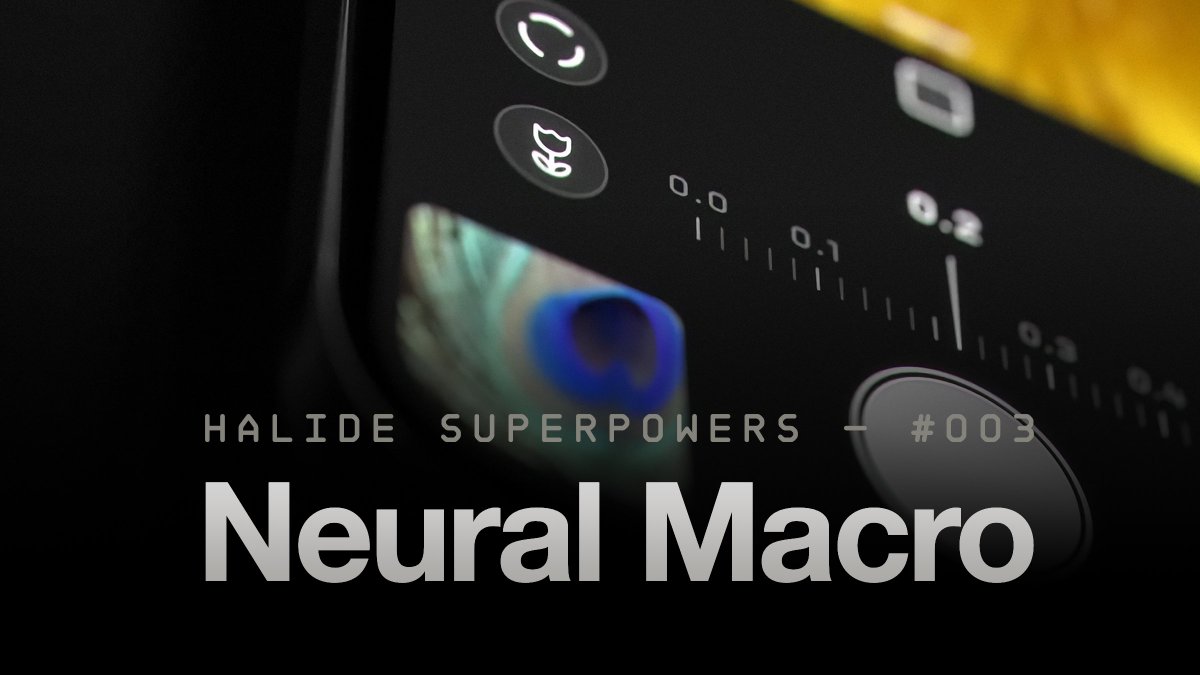 Halide comes with superpowers. 
Here's one: Neural Macro—macro for all iPhones, not just Pros. 
Tap on the 🌷 icon in Halide's focus bar to enter Macro mode. Choose from 2× or 3× neural zoom for sharper macro shots. Works with iPhones Pro too: for microscopic macro capabilities.