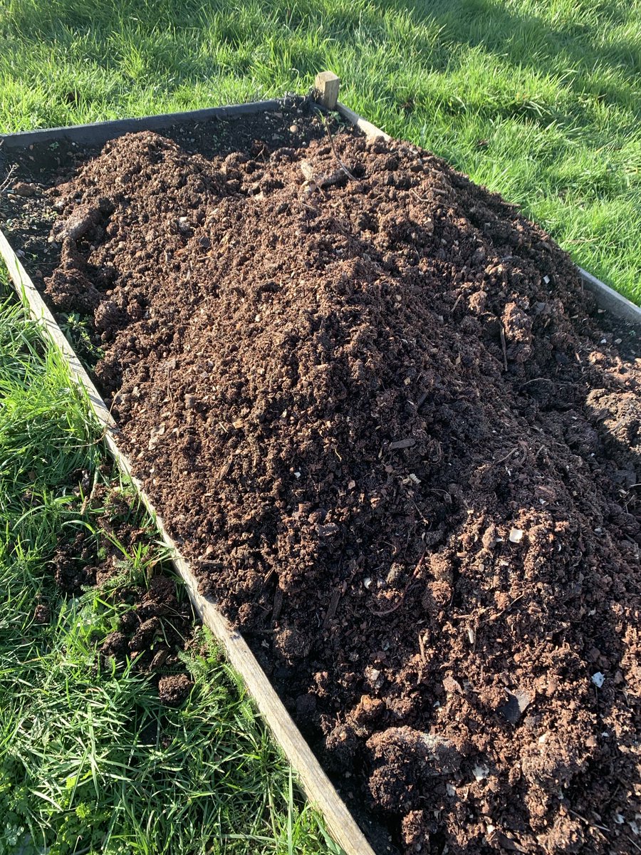 Ms Lal (@digforvictoryba) on Twitter photo Eco life cycle and sustainable living,the process of converting green waste and food waste into compost. Yr8 transferring BA’s very own compost ready to grow.You are amazing Yr8!!🤩<a href="/Bedford_Academy/">Bedford Academy</a>
<a href="/heartacadtrust/">HEART Academies Trust</a> <a href="/paul_edmond01/">Paul Edmond</a> Eco life cycle and sustainable living,the process of converting green waste and food waste into compost. Yr8 transferring BA’s very own compost ready to grow.You are amazing Yr8!!🤩<a href="/Bedford_Academy/">Bedford Academy</a>
<a href="/heartacadtrust/">HEART Academies Trust</a> <a href="/paul_edmond01/">Paul Edmond</a>