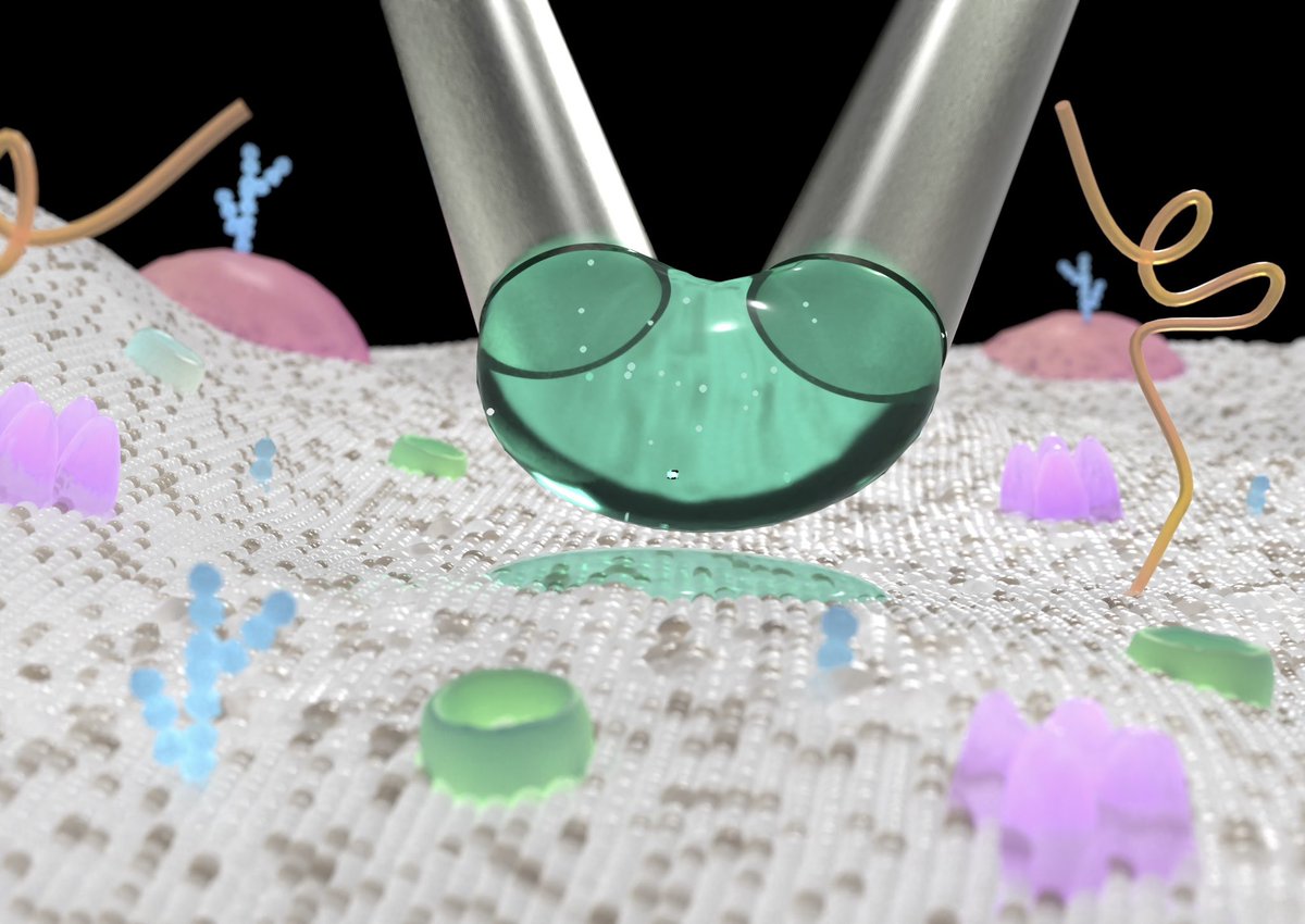 You can now deliver chemicals and nanoparticles where you and and when you want by simply giving a microkiss; interested? read our new article @naturemethods : nature.com/articles/s4159…