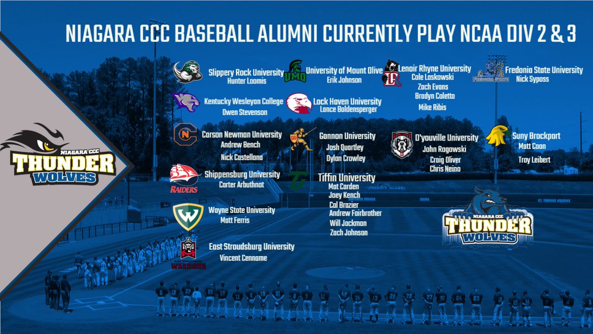 We wish our NCCC alumni the best of luck as the season starts up! 'Once a wolf, always in the pack' 🐺⚾️