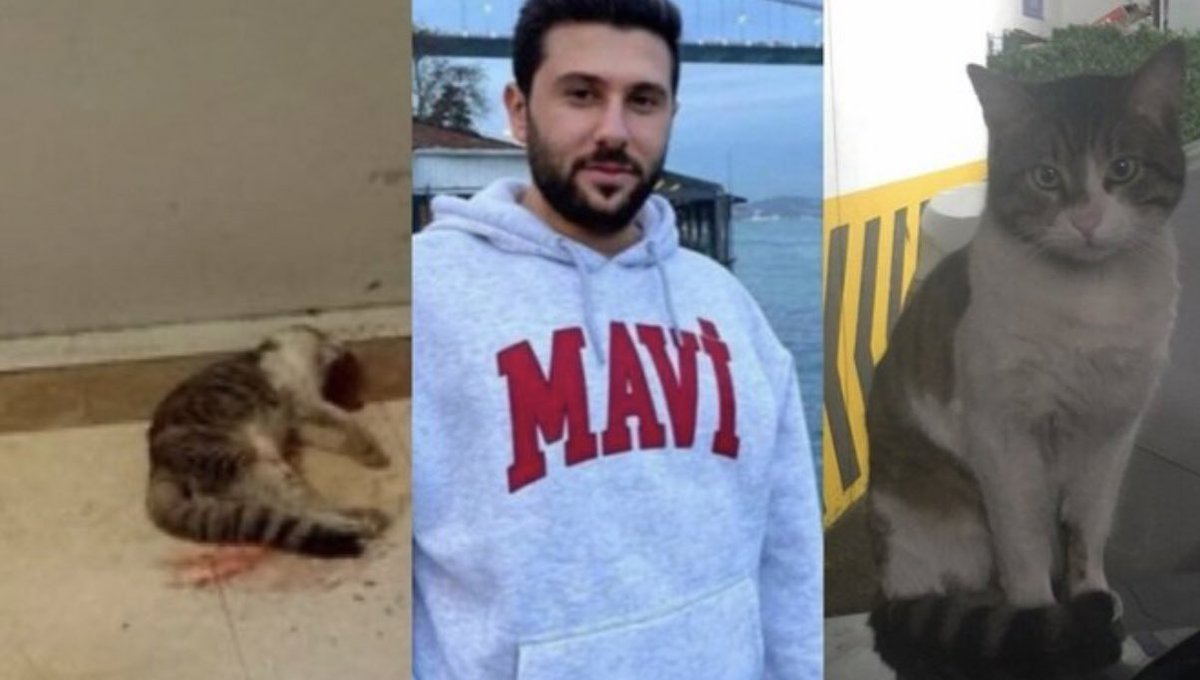 bu mahlukat zararsız masum bi kediyi altı dakika boyunca tekmeleyerek öldürdü!! bu caninin avukatı da "sahipsizdi kimse zarar görmedi" diye  savunma yapmış pişkinliğe bakk!! bu haber gündemden düşmemeli bu surat unutulmamalı. #ibrahimkeloğlantutuklansın
